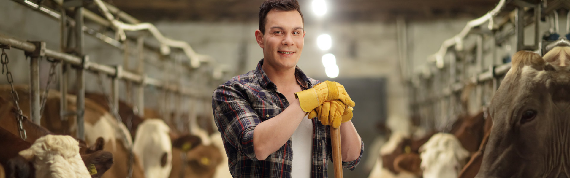 Man standing inside the barn